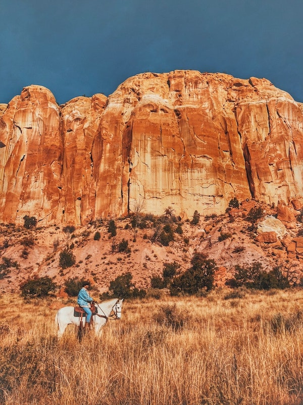 new mexico