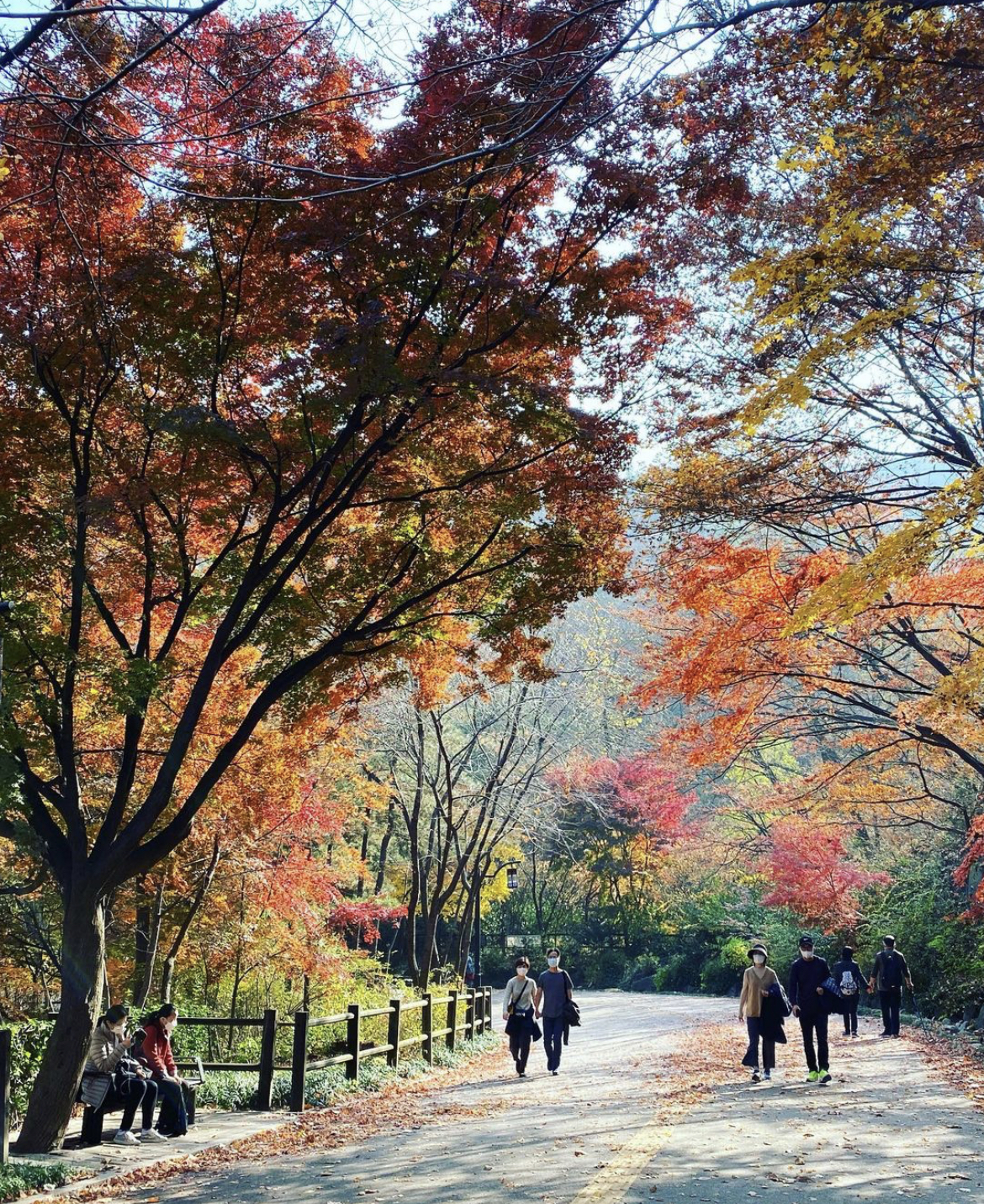 namsan park