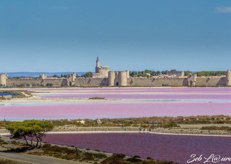 Aigues-Mortes landscapes
