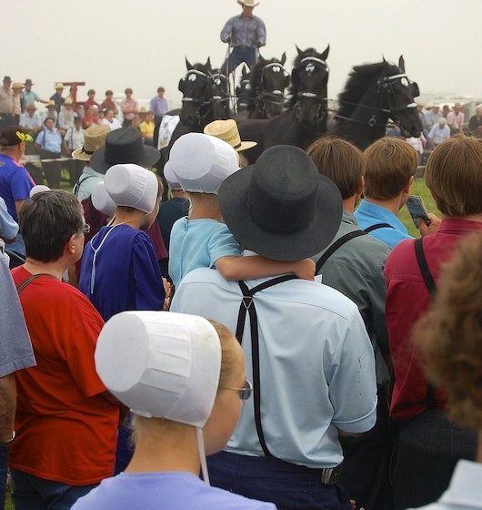 amish