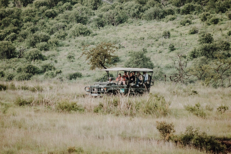 West African Safari