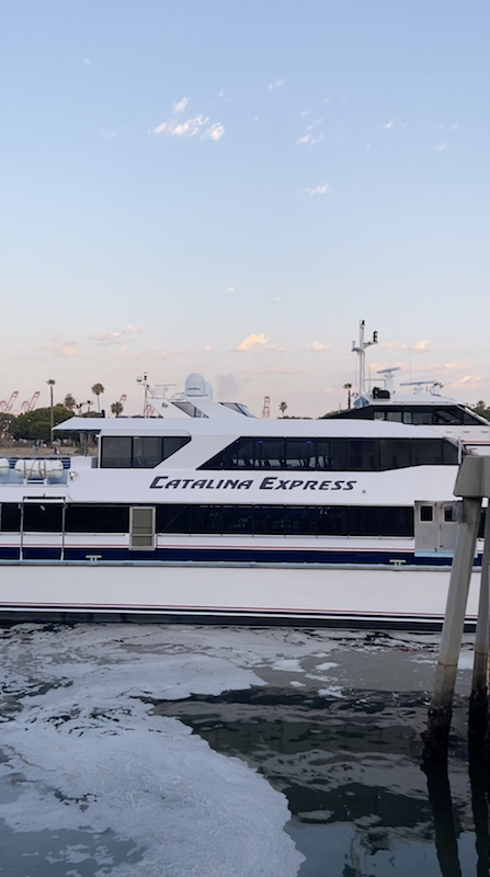 Catalina Express
