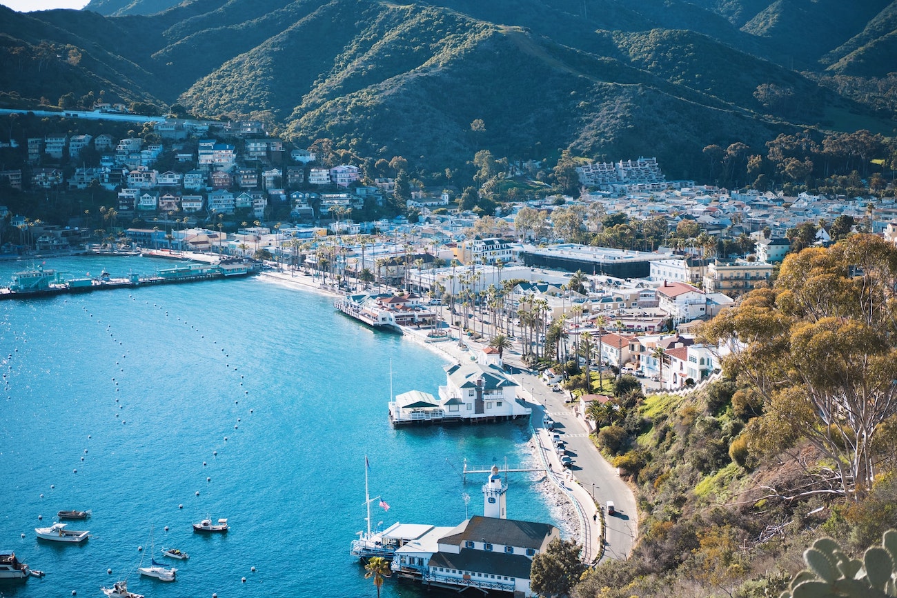 Catalina Island, California. Photo by Elias Shankaji on Unsplash