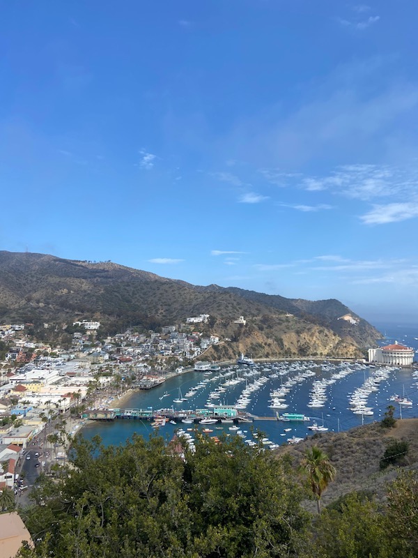 Catalina Island, Golf Cart Tour