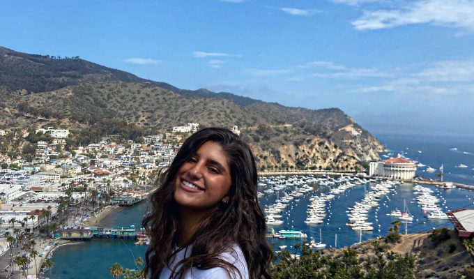 Lily in Catalina Island