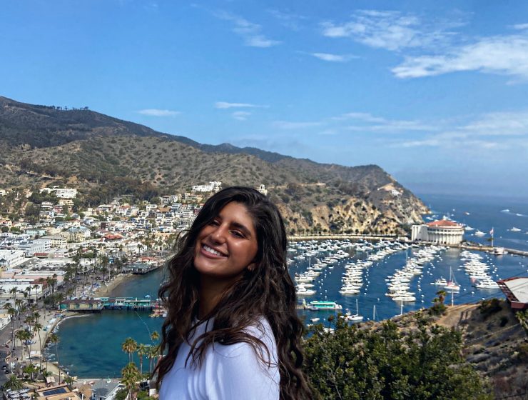 Lily in Catalina Island