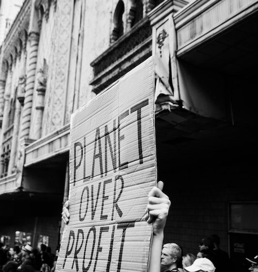 planet over profit