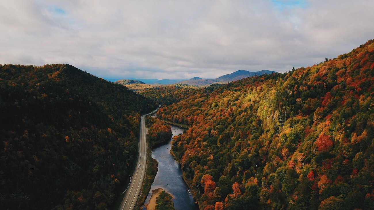 Fall Foliage