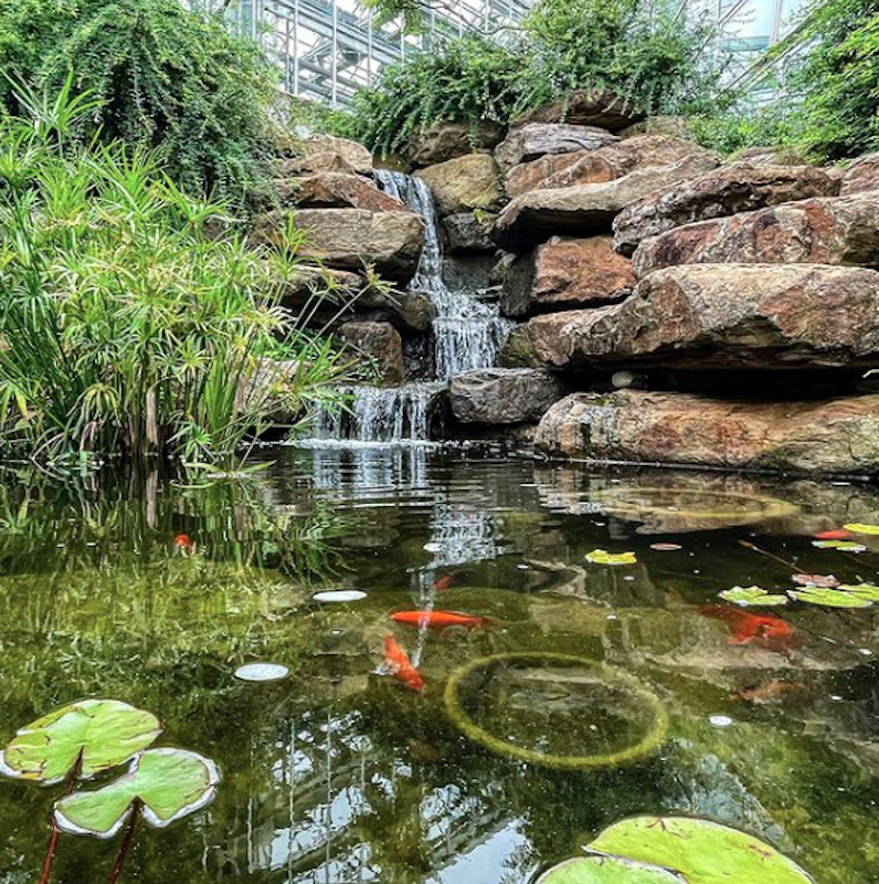 Phipps Conservatory