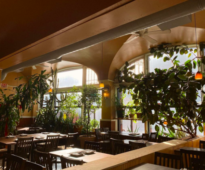 My Thai Vegan Cafe