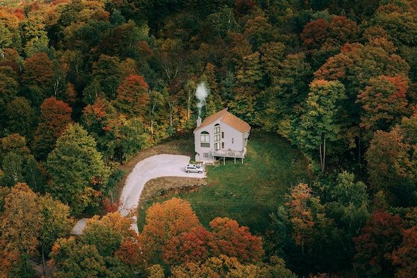 Fall Foliage