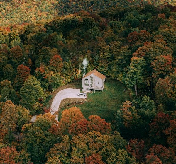 Fall Foliage