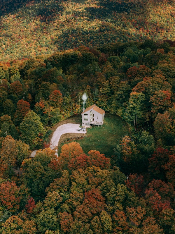 Fall Foliage