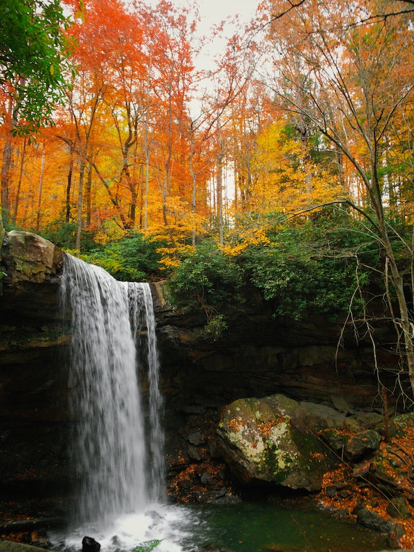 Fall Foliage