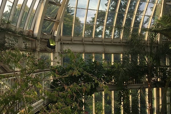 Botanical Gardens