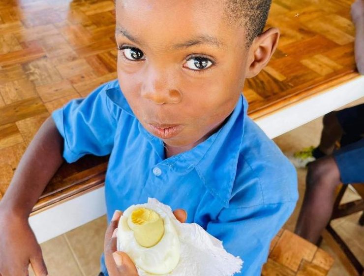 An egg a day
