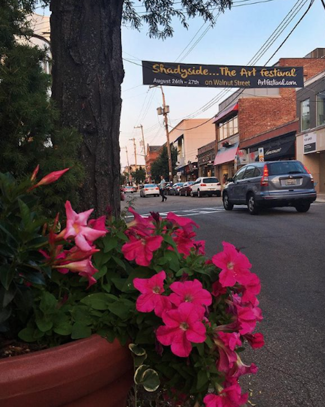 Flowers In Shadyside