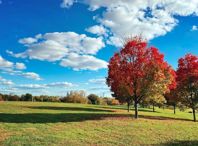 Fairmount Park philadelphia neighborhood