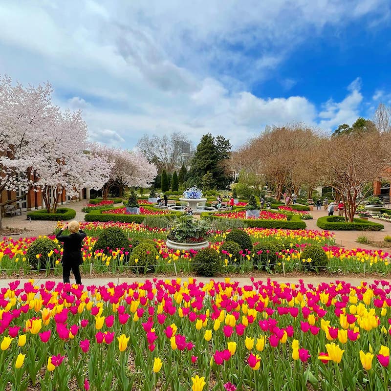 Atlanta Botanical Garden