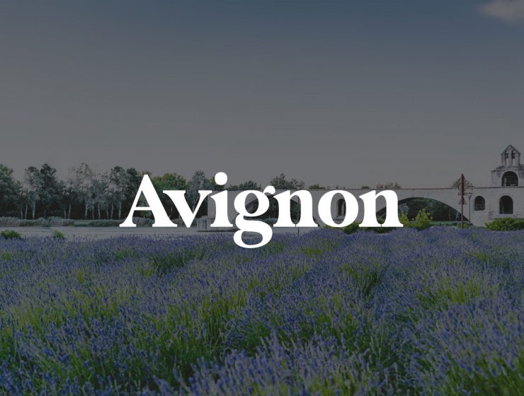 things to do in avignon