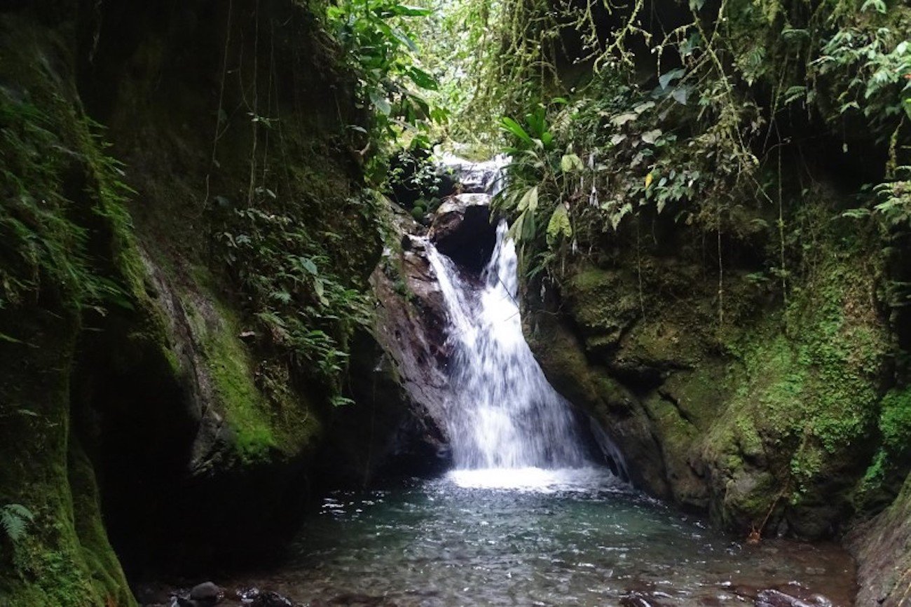 Nambilla Cascadas