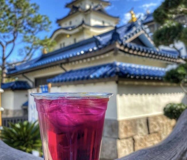Violet Sake Drinking Around the World at EPCOT