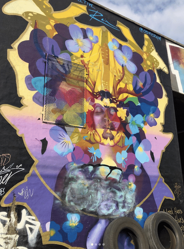 World of Graffiti and Street Art