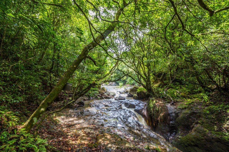 Darién National Park