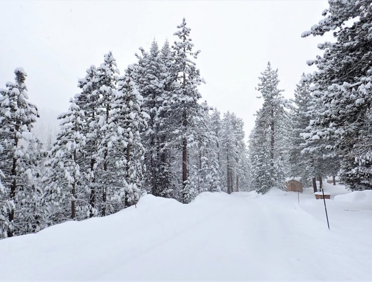 Sequoia and Kings Canyon National Parks