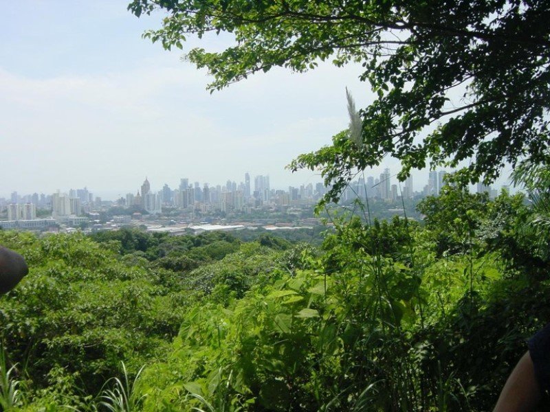 Metropolitan Natural Park