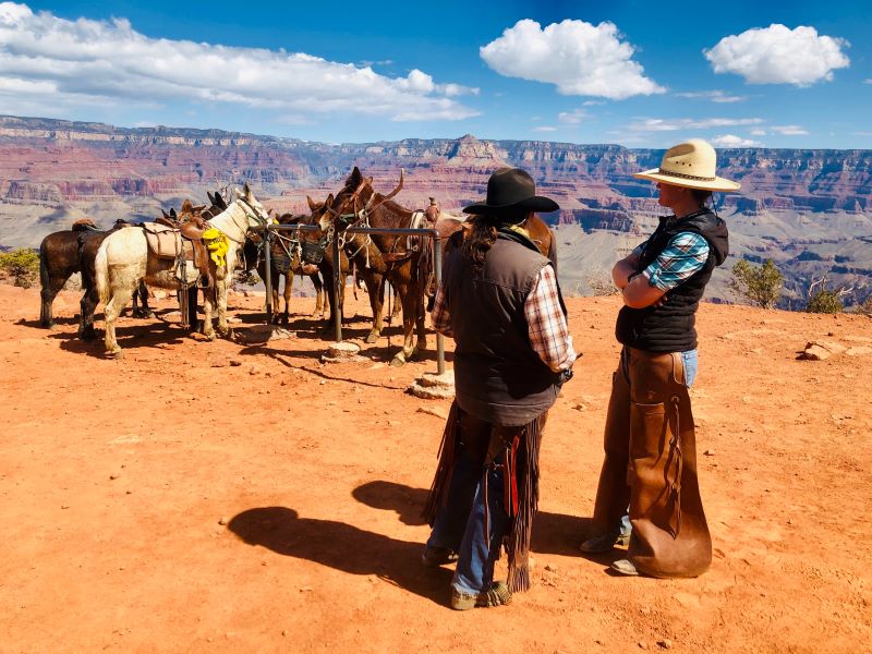 Mule Ride