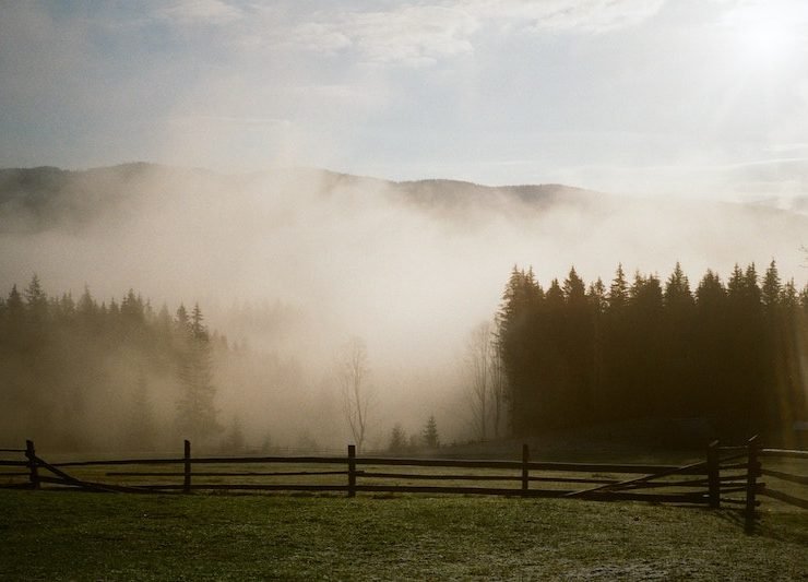The Smokies are best for a family summer vacation