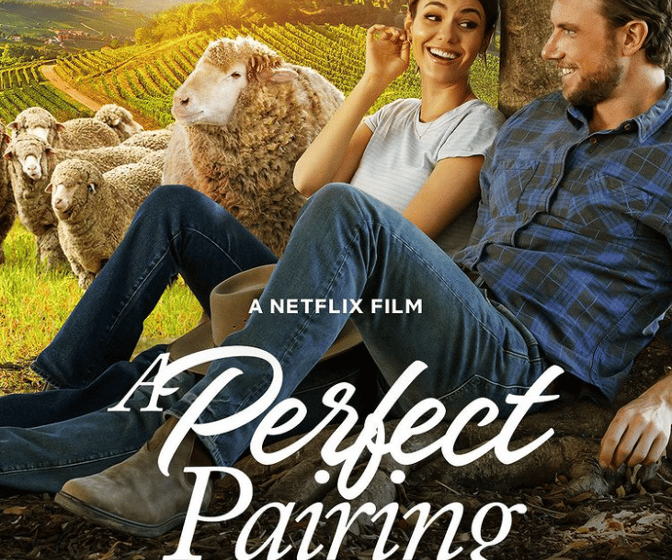 A Perfect Pairing Poster