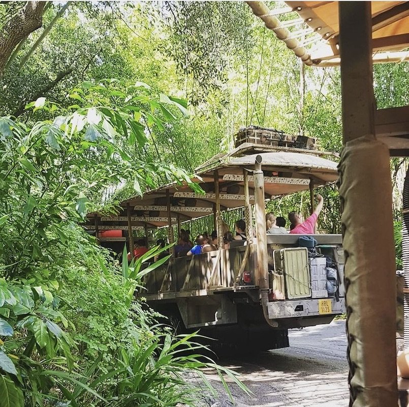Animal Kingdom’s Kilimanjaro Safaris