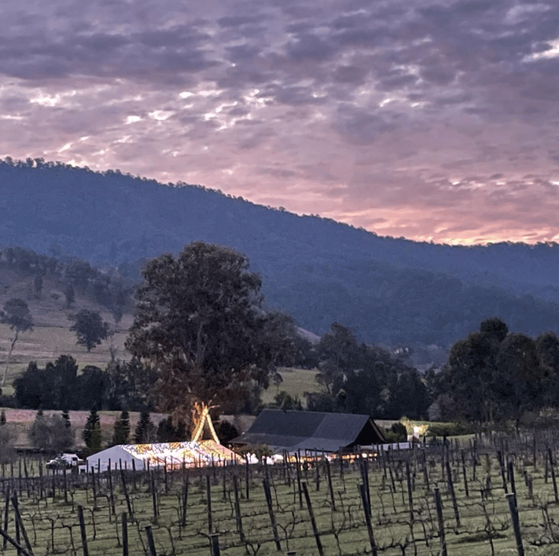 Sarabah Estate Vineyard