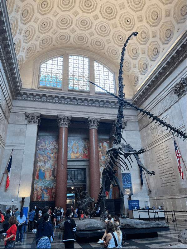 American Museum of Natural History