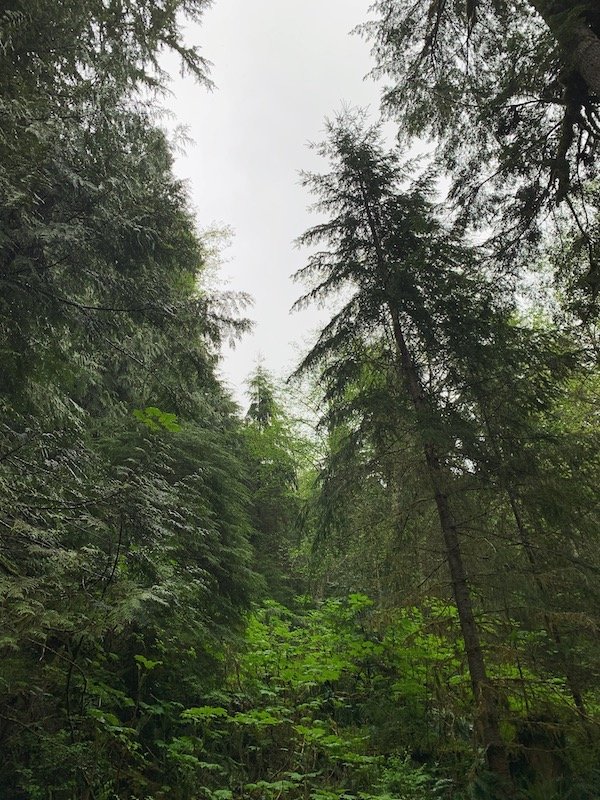 Mount Olympic National Park