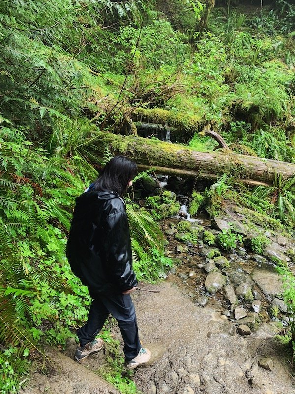Mount Olympic National Park