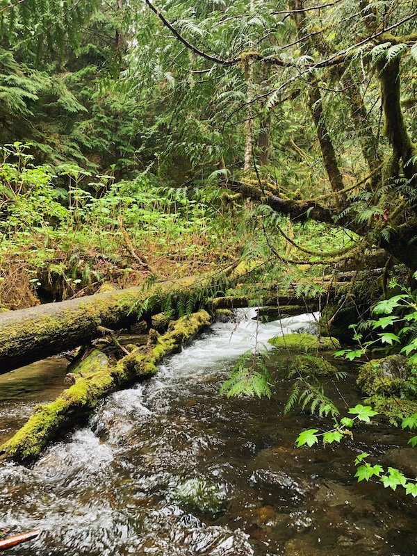 Mount Olympic National Park