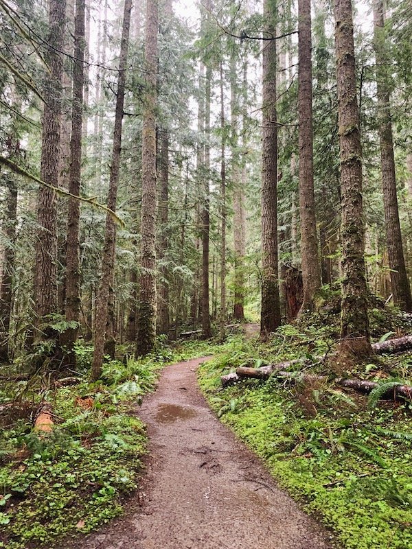 Mount Olympic National Park