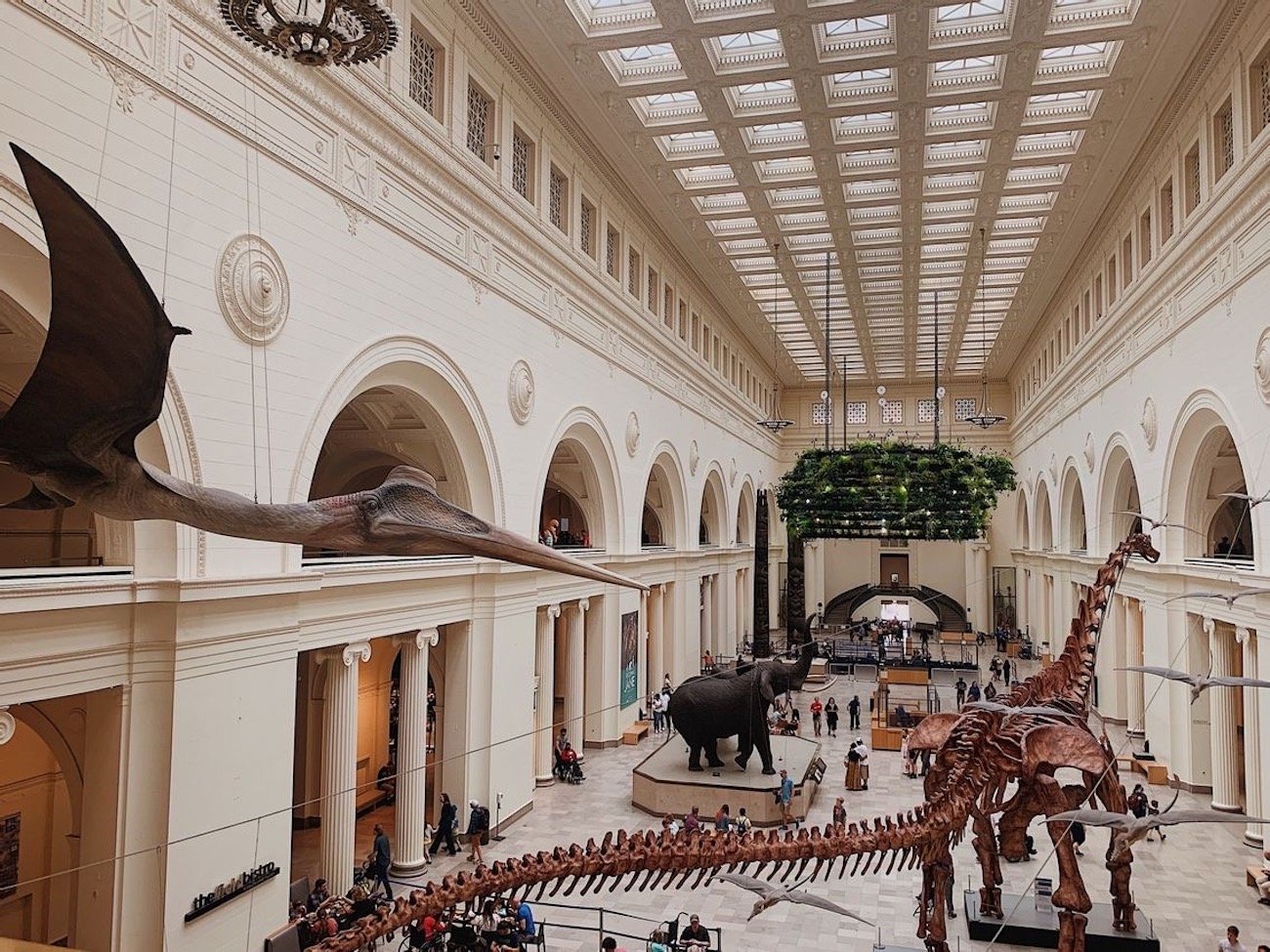 Field Museum