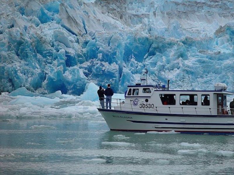 Tracy Arm Glacier Cruise