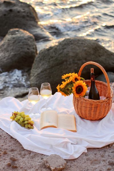 Beach Picnic