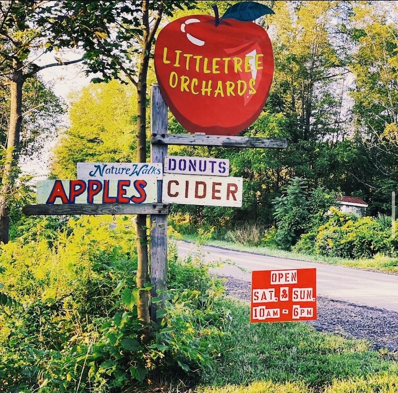 apple picking new york