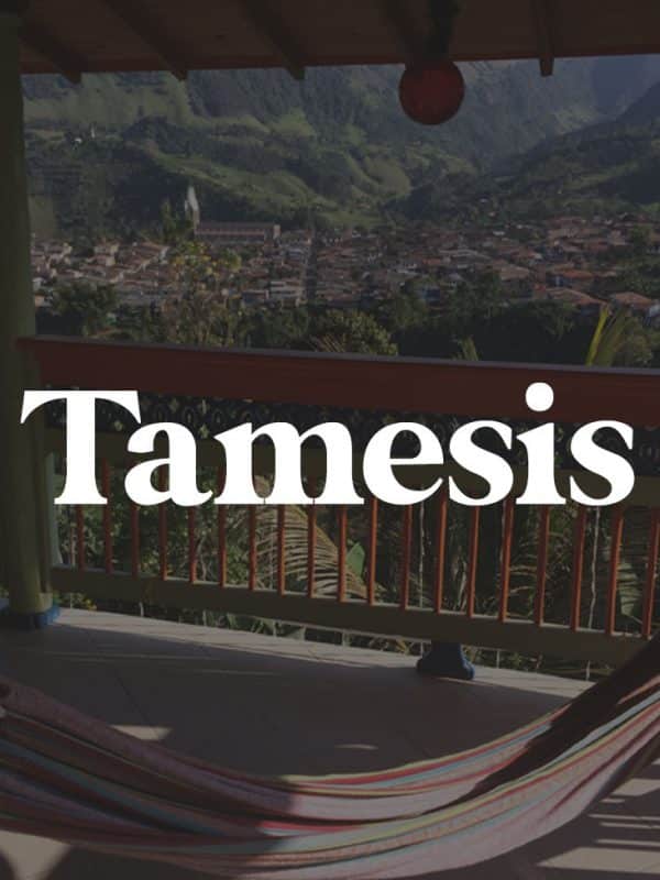 tamesis travel guide