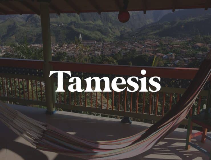 tamesis travel guide
