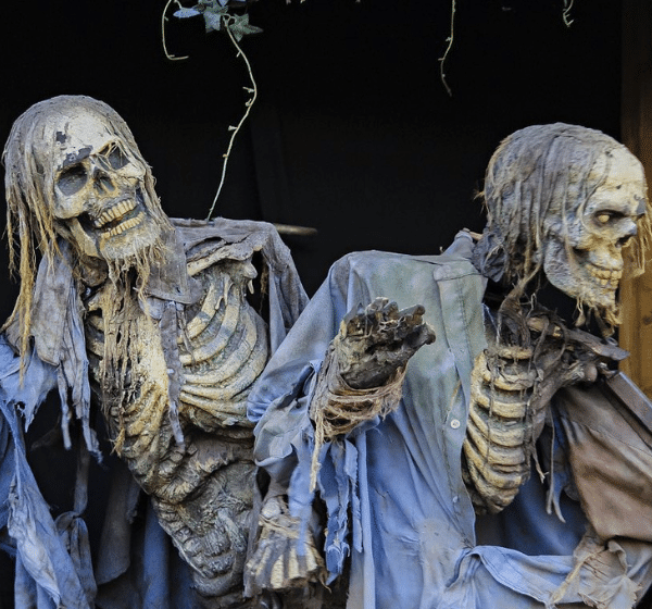 The Horrorland Facebook