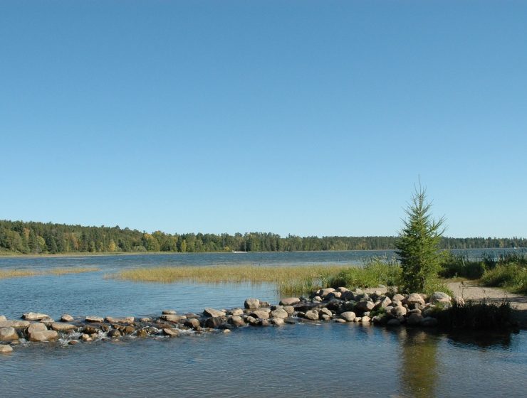 Itasca State Park