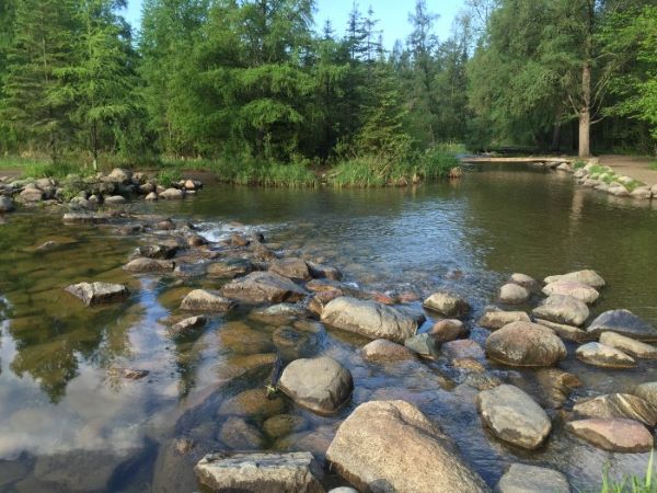 Lake Itasca