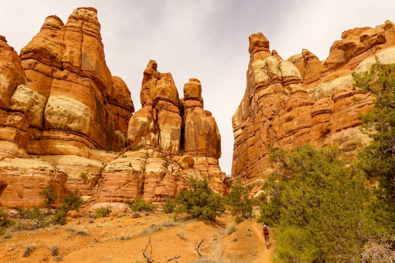 Needles 4 Must-See Destinations For Your Canyonlands National Park Tour